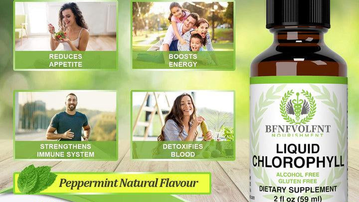 Liquid Chlorophyll Drops 1-4 Bottles Set (4-12 Month Supply) Healthcare Supplement - Natural Body Deodorant and Detox - Gut Support Healthcare Liver [BFNFVOLFNT] Edible Dietary